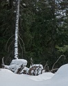 Fallergrat, Arzeinkopf, Schneeschuhwanderung