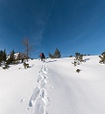 Fallergrat, Arzeinkopf, Schneeschuhwanderung