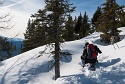 Fallergrat, Arzeinkopf, Schneeschuhwanderung