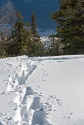 Fallergrat, Arzeinkopf, Schneeschuhwanderung