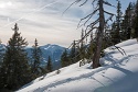 Fallergrat, Arzeinkopf, Schneeschuhwanderung