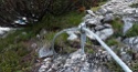 Adlerklettersteig, Karkopf 2469 m, Mieminger Kette