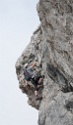 Adlerklettersteig, Karkopf 2469 m, Mieminger Kette