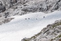 Adlerklettersteig, Karkopf 2469 m, Mieminger Kette