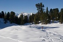 Felderalm, Pirchkogel, Schneeschuhwanderung