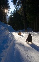 Felderalm, Pirchkogel, Schneeschuhwanderung