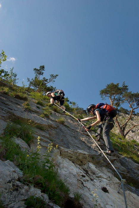 20100626161956.jpg - Ernst Riha