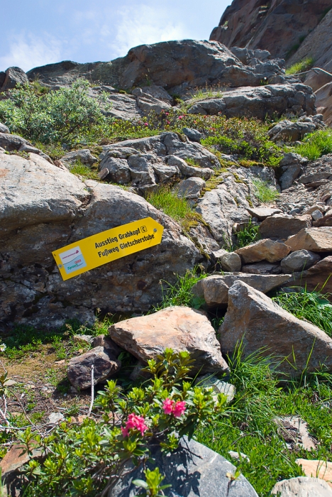 20100703144317.jpg - Optimale Verhältnisse bei Steinbock- und Murmeltier-Klettersteig