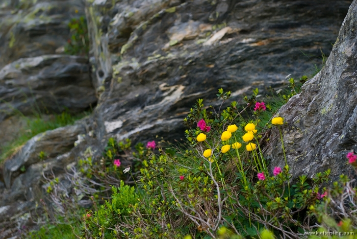 20100712_170833.jpg - Ernst Riha