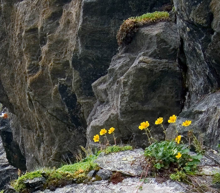 20100718_112932.jpg - Panorama Klettersteig Kühtai