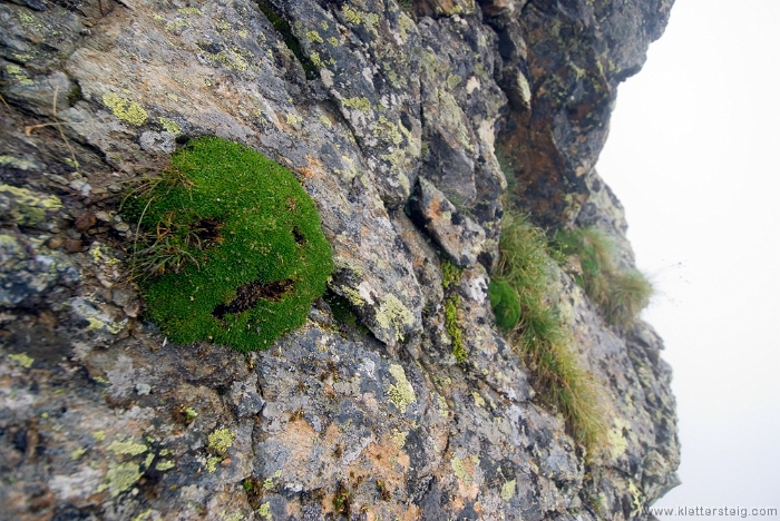 20100718_125950.jpg - Panorama Klettersteig Kühtai