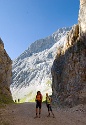 Mauerläufer | Alpspitzgebiet