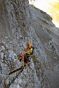 Mauerläufer | Alpspitzgebiet