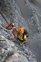 Mauerläufer | Alpspitzgebiet