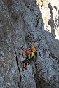 Mauerläufer | Alpspitzgebiet