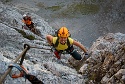 Mauerläufer | Alpspitzgebiet