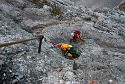 Mauerläufer | Alpspitzgebiet