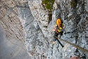 Mauerläufer | Alpspitzgebiet