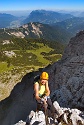 Mauerläufer | Alpspitzgebiet