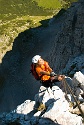 Mauerläufer | Alpspitzgebiet