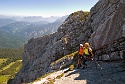 Mauerläufer | Alpspitzgebiet