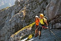 Mauerläufer | Alpspitzgebiet