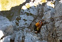 Mauerläufer | Alpspitzgebiet