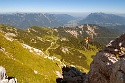 Mauerläufer | Alpspitzgebiet