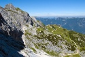 Mauerläufer | Alpspitzgebiet
