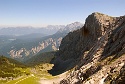 Mauerläufer | Alpspitzgebiet