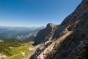 Mauerläufer | Alpspitzgebiet