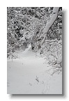 Leite Klettersteig, Tieftal, Nassereith