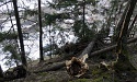 Steinwand Klettersteig, Arzl, Pitztal