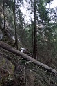 Steinwand Klettersteig, Arzl, Pitztal