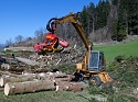 Holzbringung Spallenhof