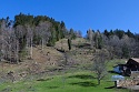 Holzbringung Spallenhof