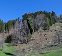 Holzbringung Spallenhof