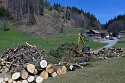 Holzbringung, Spallenhof, Meschach