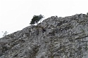 Leite Klettersteig, Tieftal, Nassereith