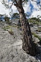 Leite Klettersteig, Tieftal, Nassereith