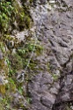 Steinwand Klettersteig Arzl