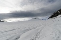 SchwÃ¤rzenkamm Hochwilde