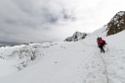 SchwÃ¤rzenkamm Hochwilde