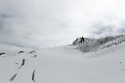 SchwÃ¤rzenkamm Hochwilde