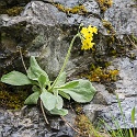 Steinwand Klettersteig