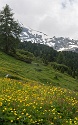 Obergurgler Klettersteig