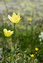 Obergurgler Klettersteig