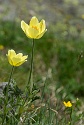 Obergurgler Klettersteig