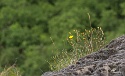 Klettersteig Naturns