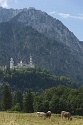 Tegelberg Klettersteig